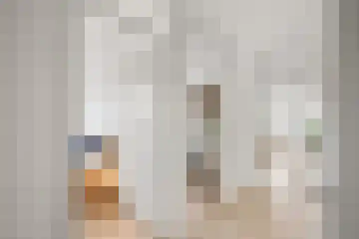 Turfeiker 10 Woubrugge thumbnail 6