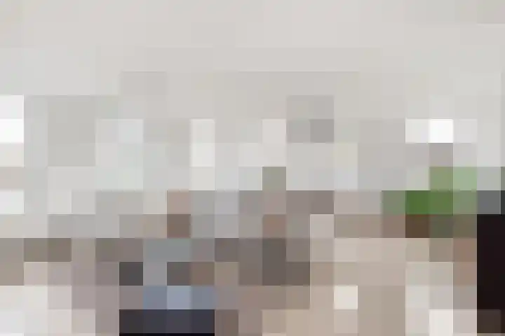 Turfeiker 10 Woubrugge thumbnail 9
