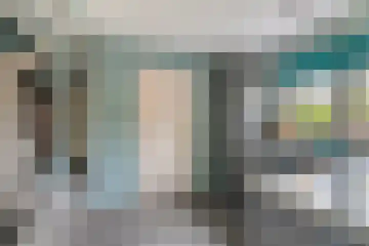 Turfeiker 29 Woubrugge thumbnail 15