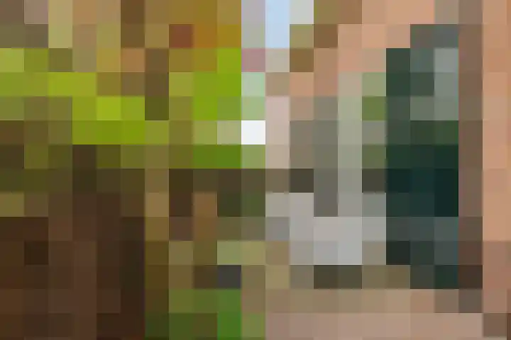 Turfeiker 29 Woubrugge thumbnail 28