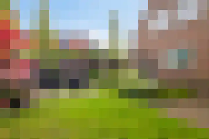 Turfeiker 29 Woubrugge thumbnail 29