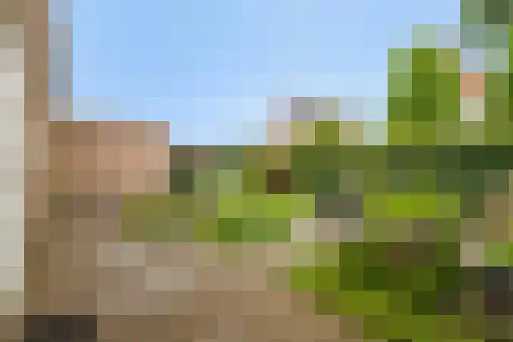Turfeiker 29 Woubrugge thumbnail 30