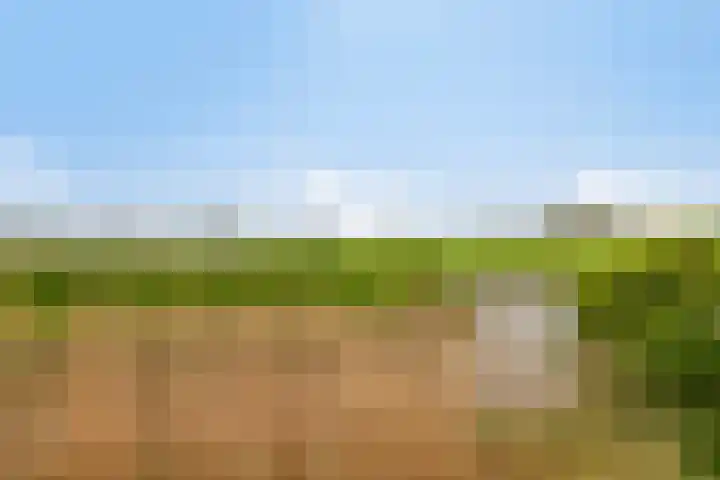 Turfeiker 29 Woubrugge thumbnail 31