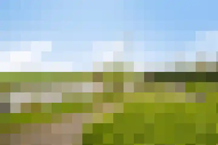 Turfeiker 29 Woubrugge thumbnail 32