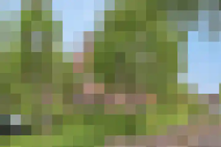 Turfeiker 29 Woubrugge thumbnail 33
