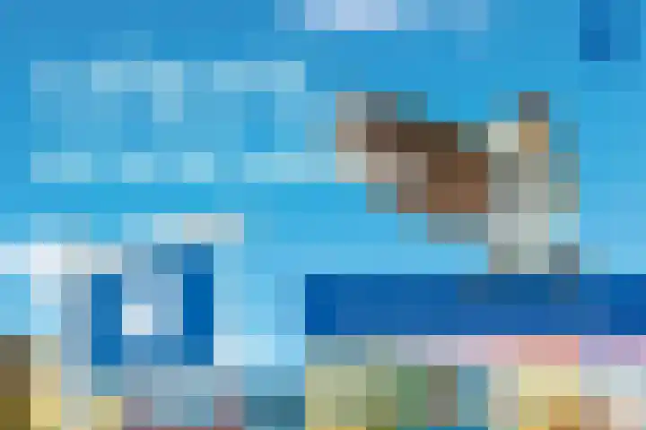 Turfeiker 29 Woubrugge thumbnail 34