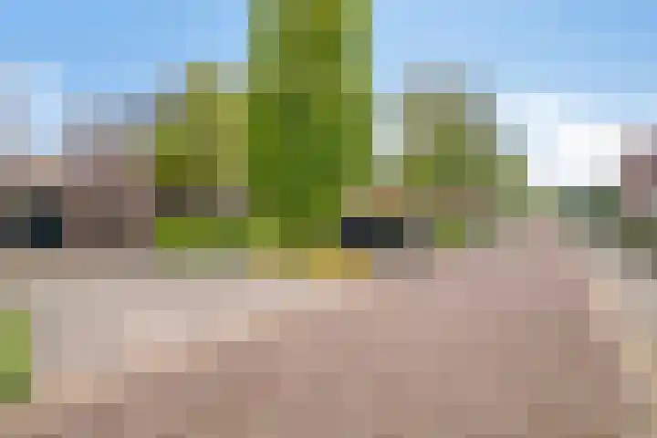Turfeiker 29 Woubrugge thumbnail 5