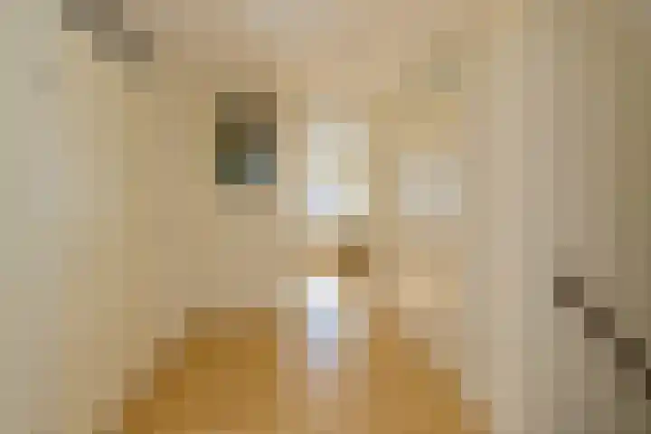 Turfeiker 42 Woubrugge thumbnail 22