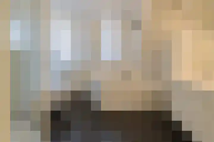 Turfeiker 42 Woubrugge thumbnail 29