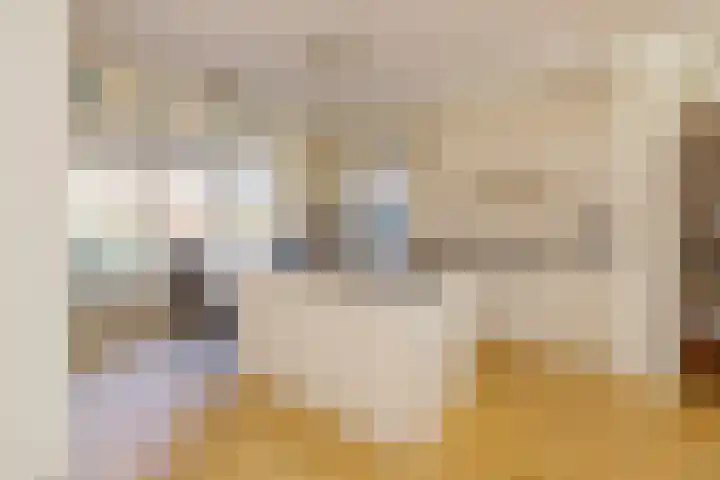 Turfeiker 42 Woubrugge thumbnail 8