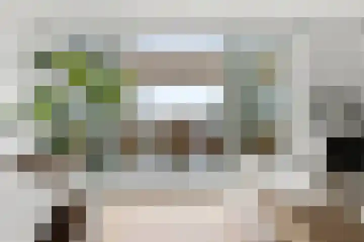 Turfhaven 14 Den Haag thumbnail 12