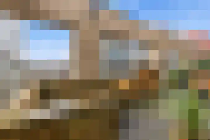 Turfhaven 14 Den Haag thumbnail 16