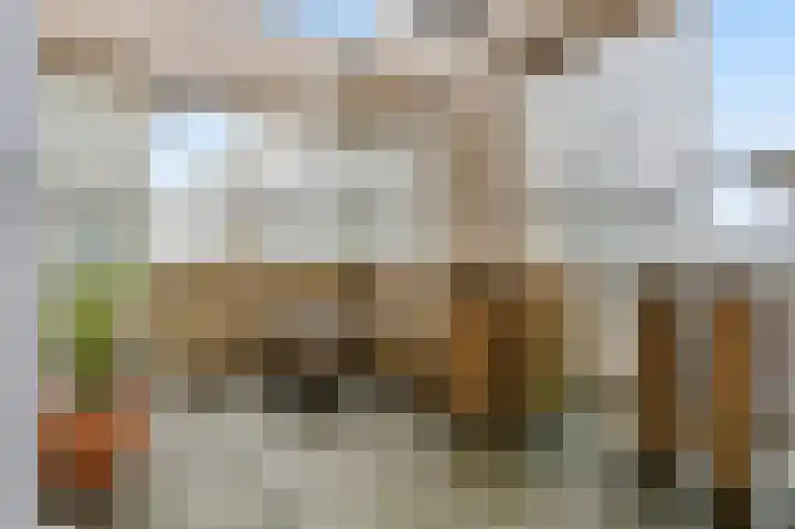Turfhaven 14 Den Haag thumbnail 17