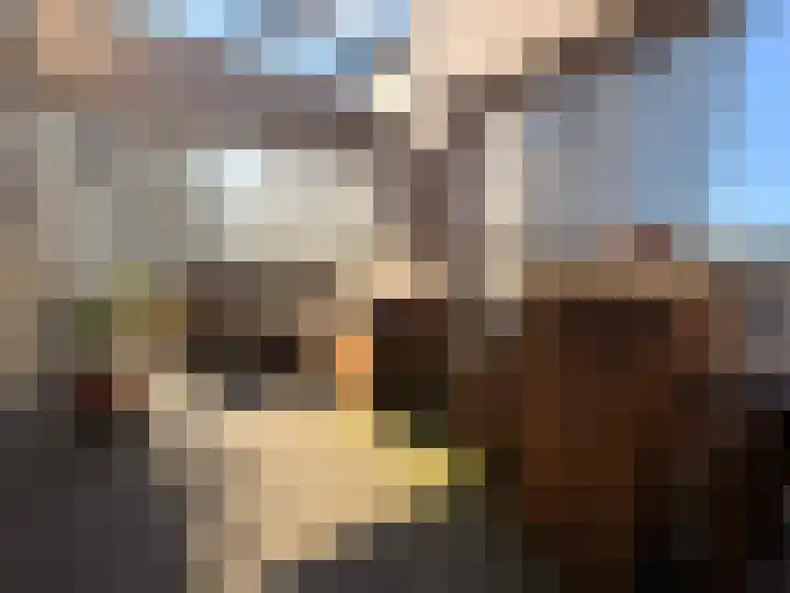 Turfhaven 14 Den Haag thumbnail 18