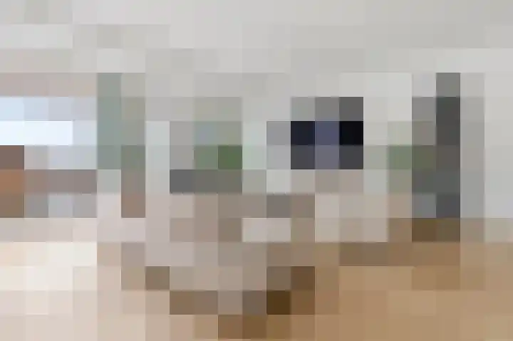 Turfhaven 14 Den Haag thumbnail 6