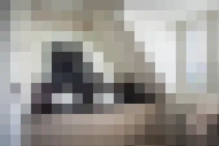 Turfhoeve 8 Helmond thumbnail 26