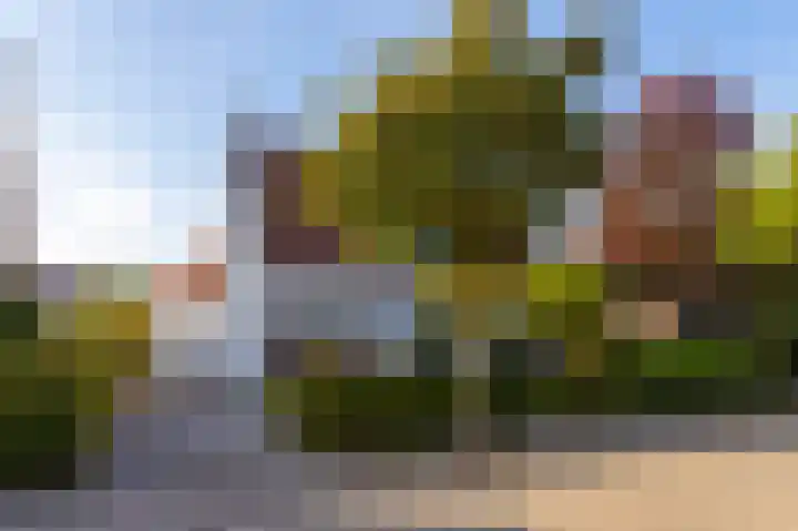 Turfhoeve 8 Helmond thumbnail 4