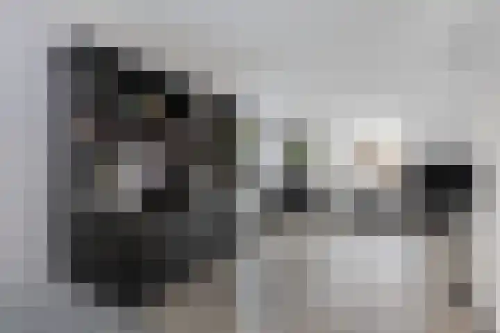 Turfkoer 24 Oudehaske thumbnail 19
