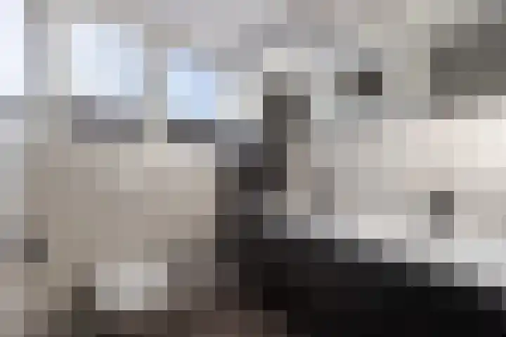 Turfkoer 24 Oudehaske thumbnail 27