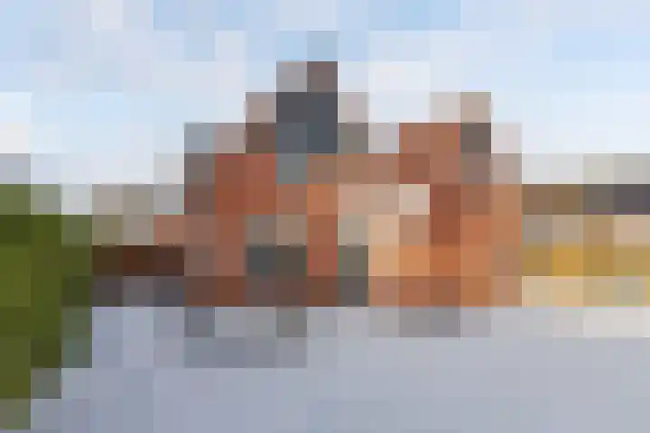 Turfkoer 24 Oudehaske thumbnail 38