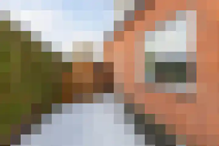 Turfkoer 24 Oudehaske thumbnail 40