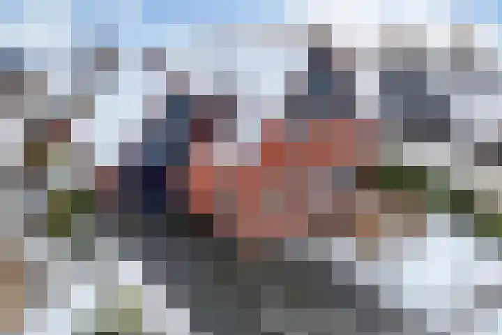 Turfkoer 24 Oudehaske thumbnail 43