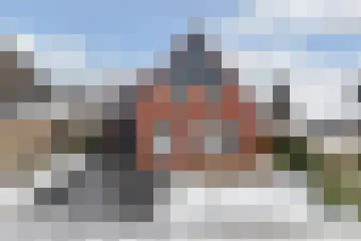 Turfkoer 24 Oudehaske thumbnail 47