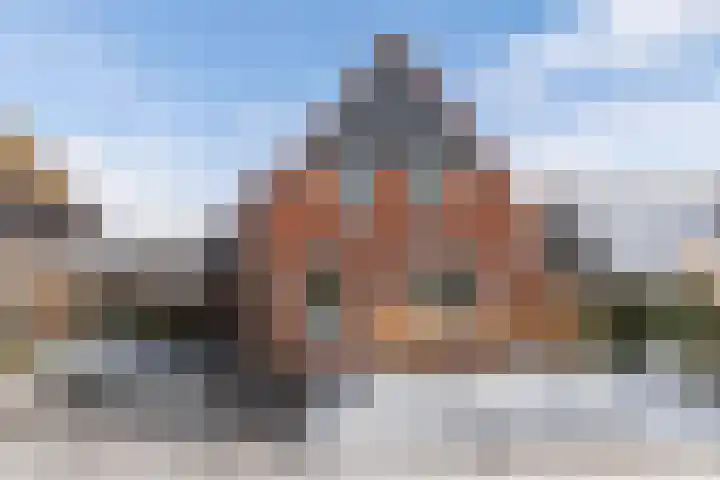 Turfkoer 24 Oudehaske thumbnail 5