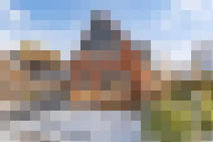Turfkoer 24 Oudehaske thumbnail 6
