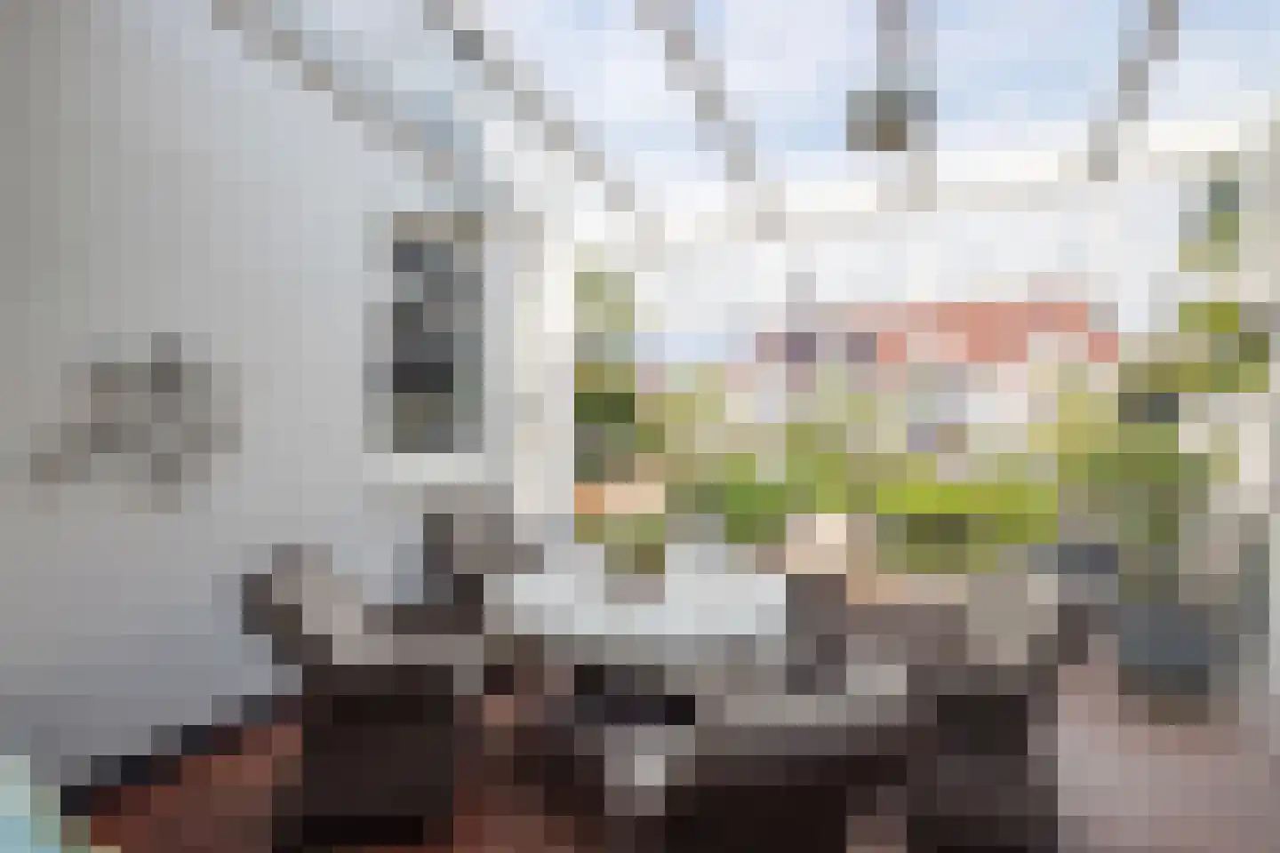 Turfmarkt 20 Gouda thumbnail 22