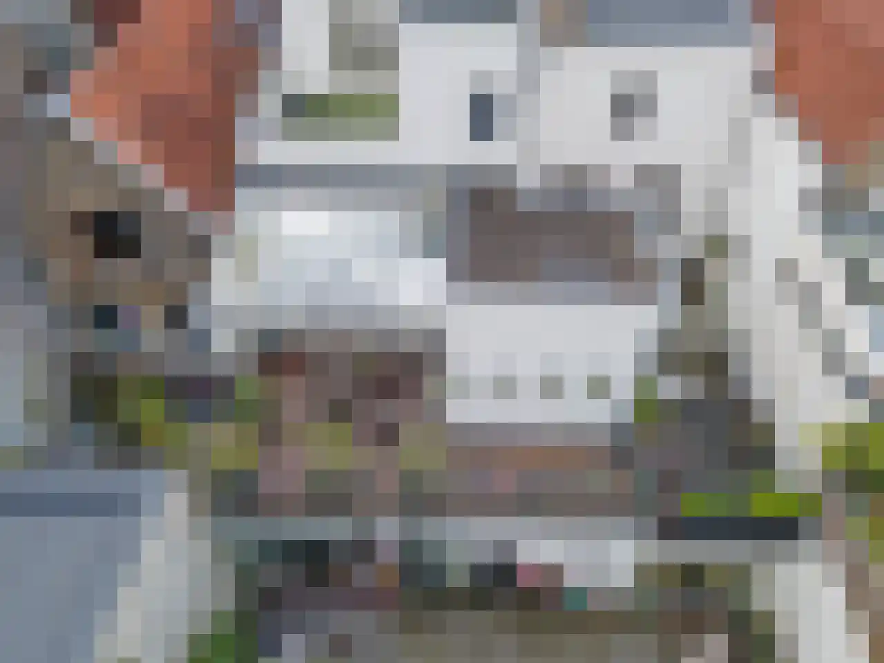 Turfmarkt 20 Gouda thumbnail 27