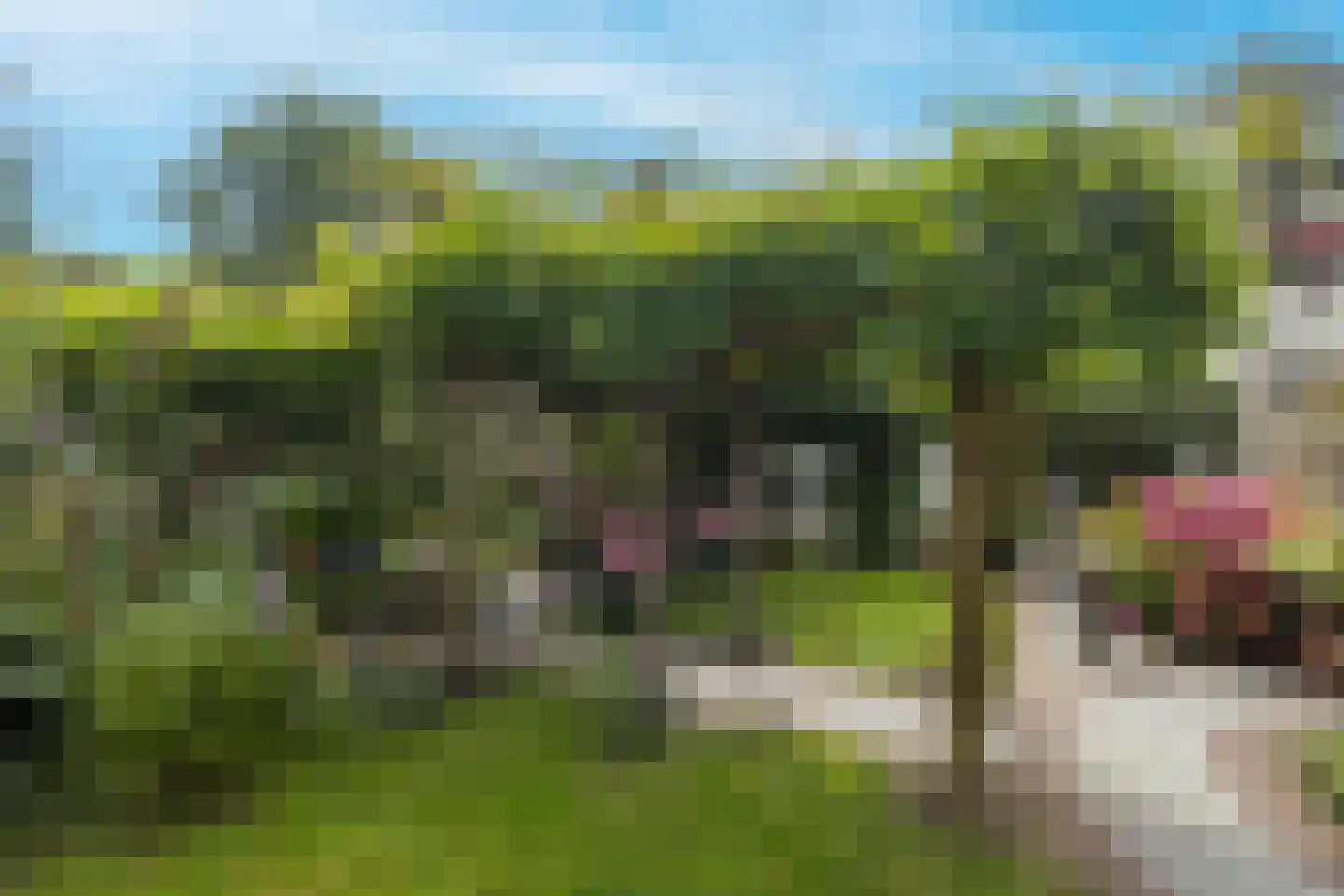 Turfmarkt 20 Gouda thumbnail 5
