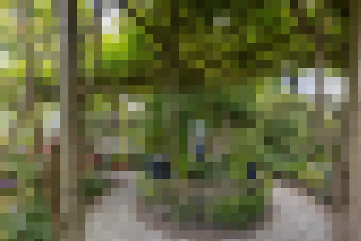 Turfmarkt 20 Gouda thumbnail 54
