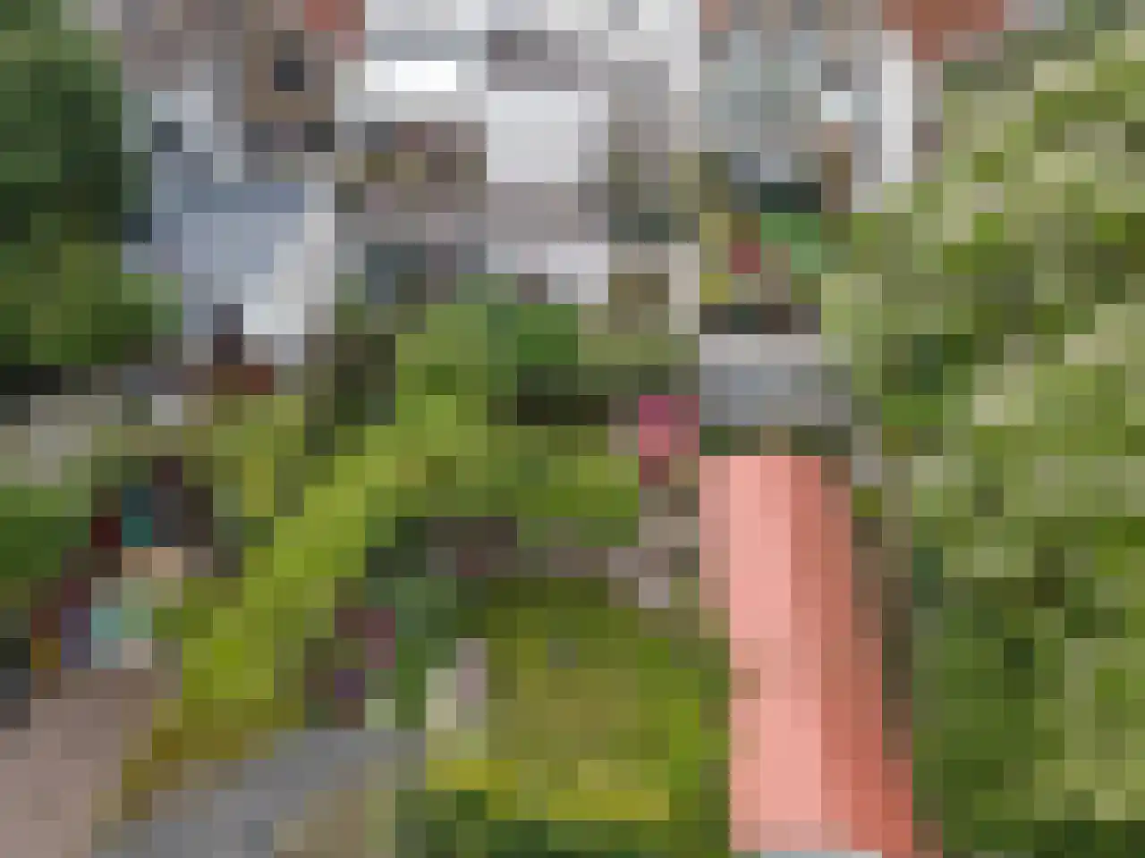 Turfmarkt 20 Gouda thumbnail 6