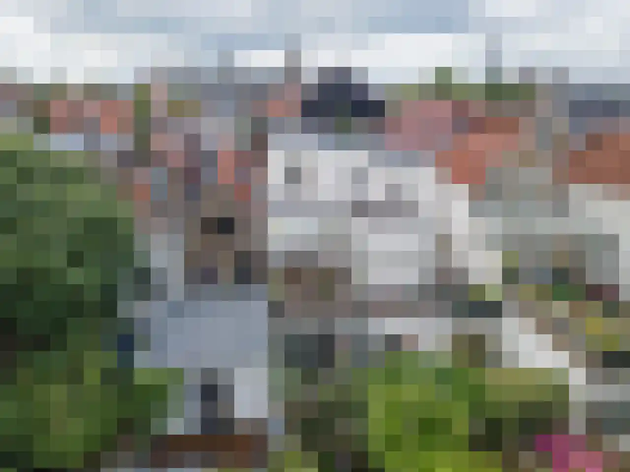 Turfmarkt 20 Gouda thumbnail 66