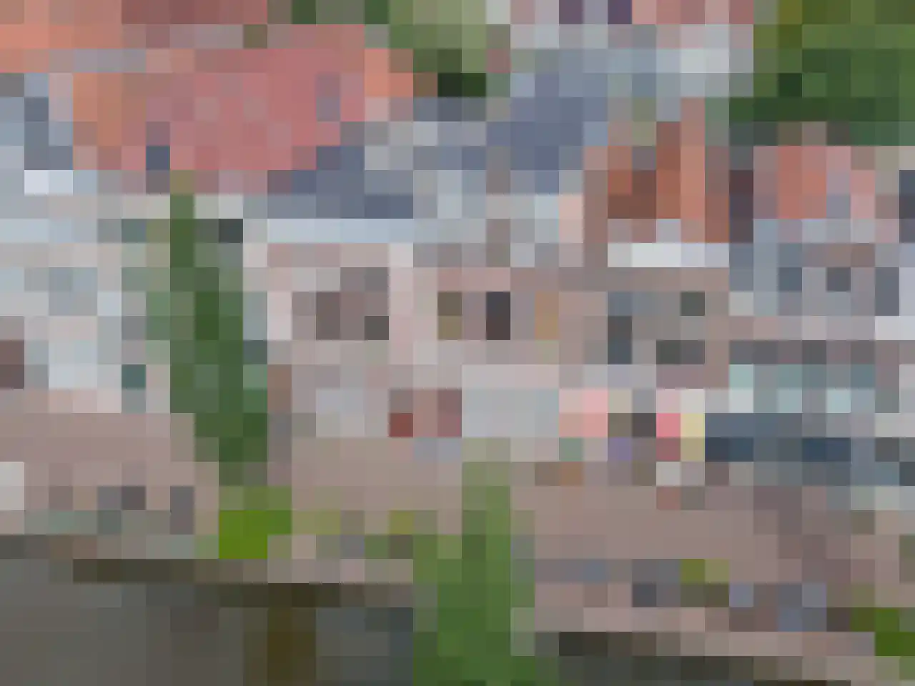 Turfmarkt 20 Gouda thumbnail 70