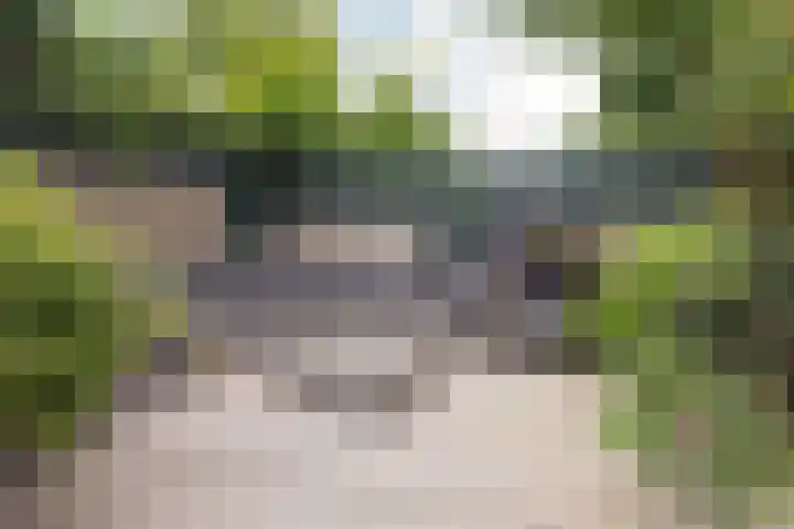 Turfschip 217 Amstelveen thumbnail 4