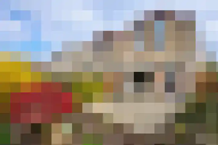 Turfschip 249 Amstelveen thumbnail 12