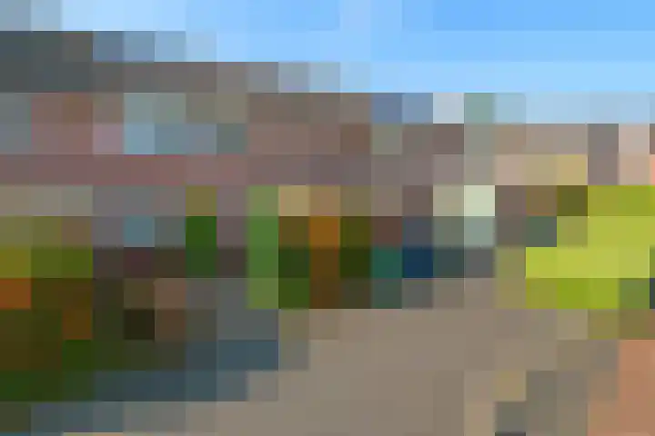 Turfschip 252 Amstelveen