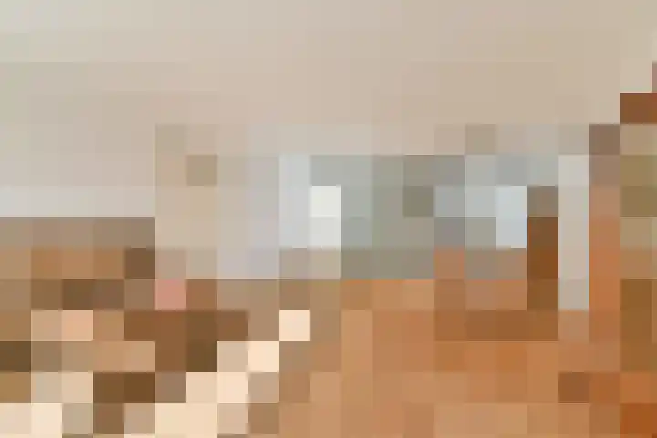 Turfschip 252 Amstelveen foto 2