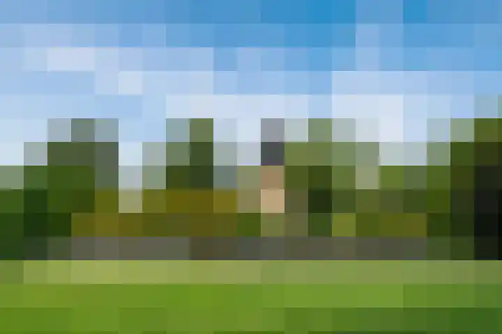 Turfschip 252 Amstelveen thumbnail 27