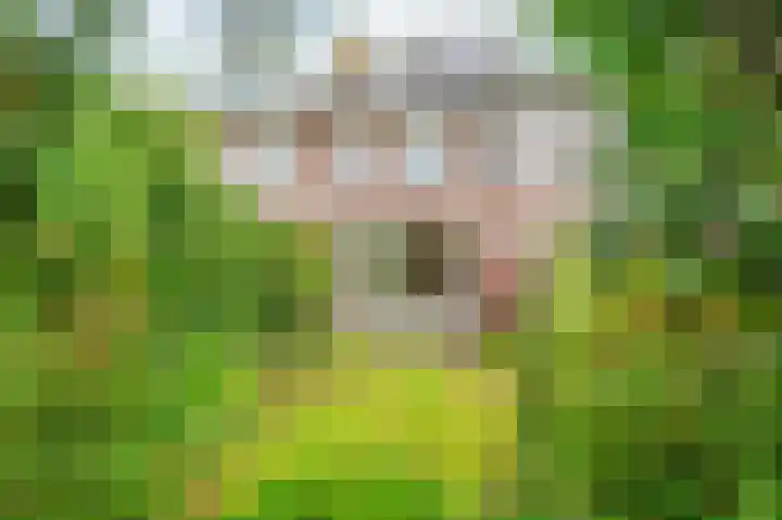 Turfschip 252 Amstelveen foto 3