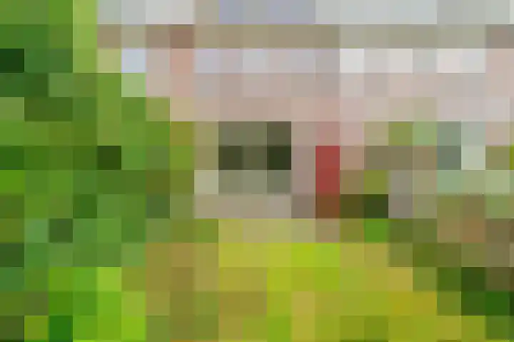 Turfschip 252 Amstelveen thumbnail 32