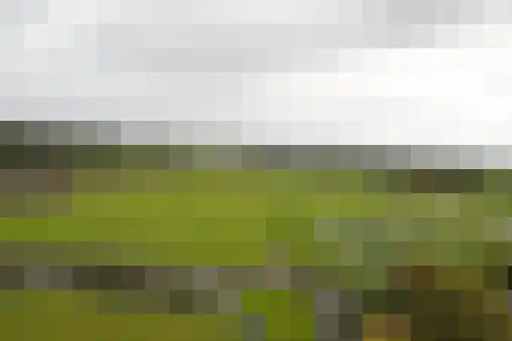 Turfschip 252 Amstelveen thumbnail 38