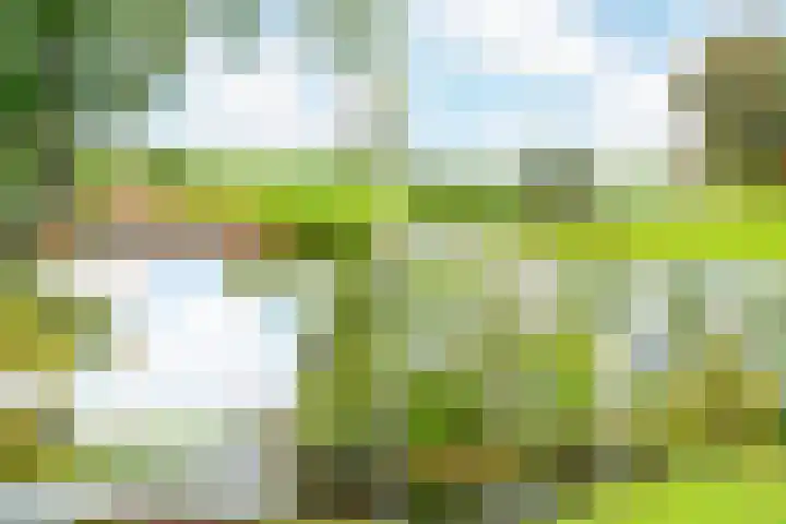 Turfschip 252 Amstelveen thumbnail 39