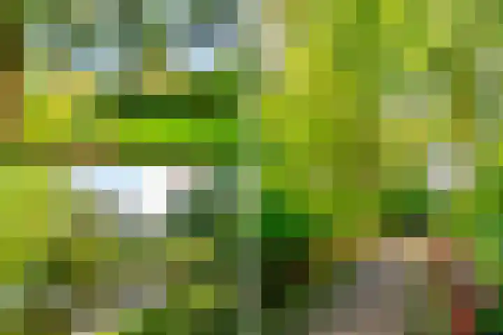 Turfschip 252 Amstelveen thumbnail 40