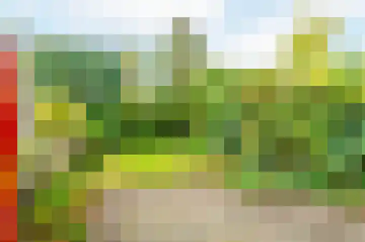 Turfschip 252 Amstelveen thumbnail 8