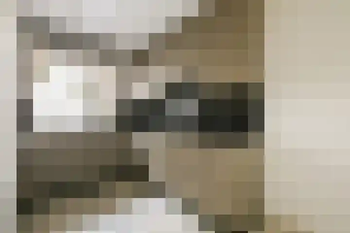 Turfschip 264 Amstelveen thumbnail 13