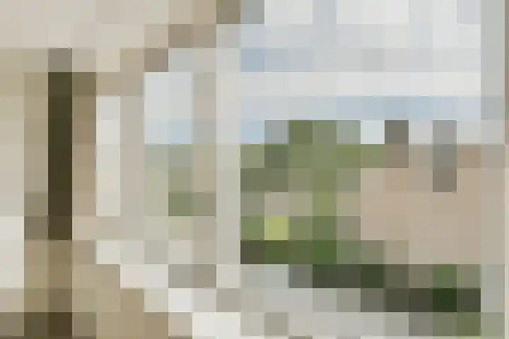 Turfschip 264 Amstelveen thumbnail 31