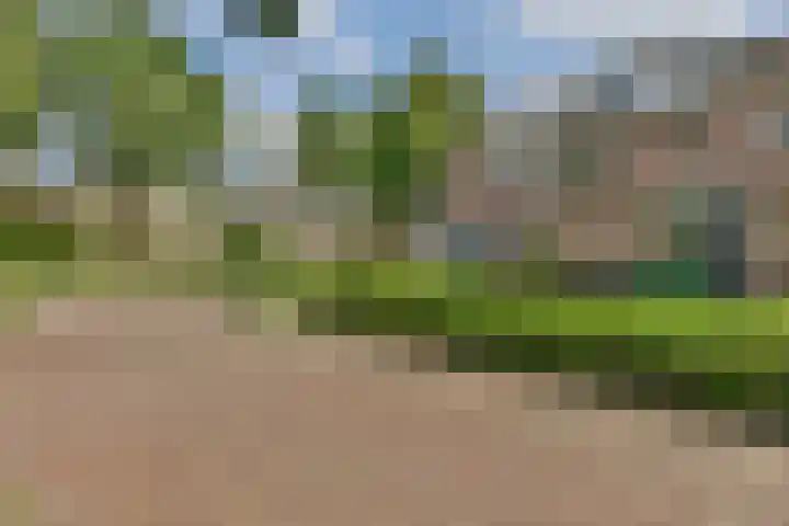 Turfschip 264 Amstelveen thumbnail 5